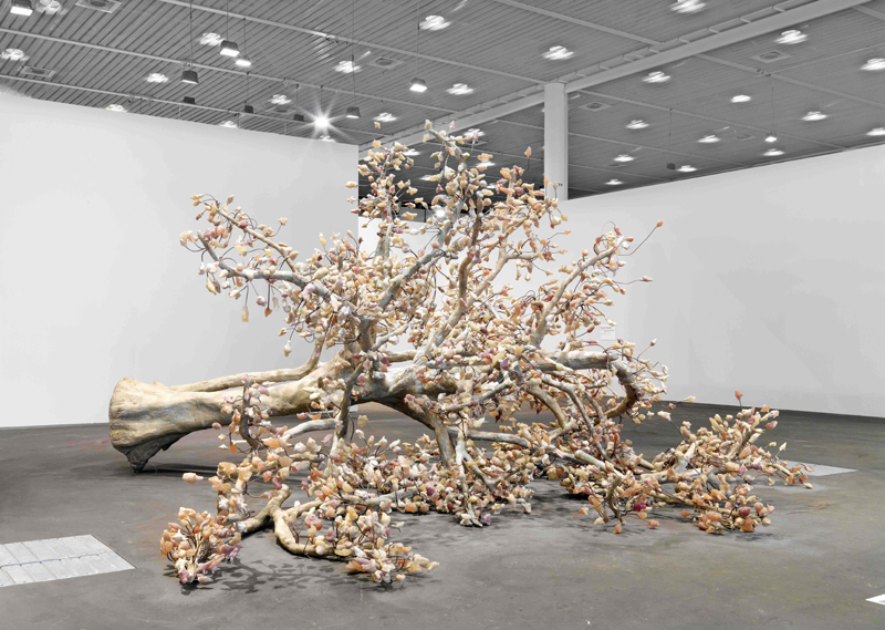 The Waq Tree, 2009; Image Credit: Stefan Altenburger Photography Zürich
