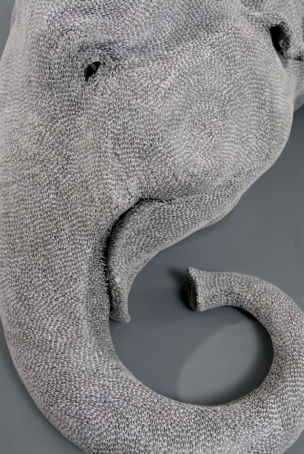 The Skin Speaks a Language of its Own (detail)